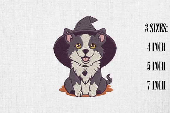 Border Collie with Witch Hat